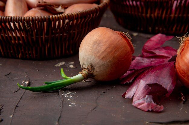 close-up-view-whole-onion-maroon-background_141793-5435.jpg