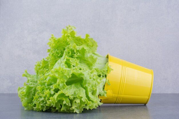 fresh-green-lettuce-isolated-blue-surface_114579-71572.jpg