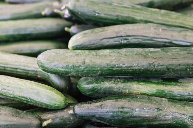 stacked-harvested-cucumber_23-2147916252.jpg