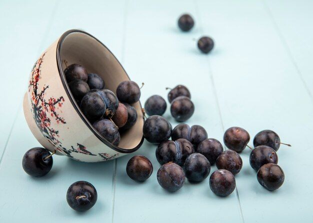 top-view-small-sour-blue-black-sloes-falling-out-bowl-blue-background_141793-20513.jpg