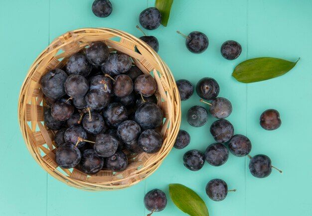 top-view-small-dark-globose-astringent-fruit-sloes-bucket-blue-background_141793-20472.jpg