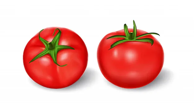 vector-illustration-realistic-style-set-red-fresh-tomatoes-with-green-stems_1441-395.webp