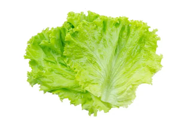 lettuce-salad-leaf-isolated-white-background-with-clipping-path_9635-4050.webp