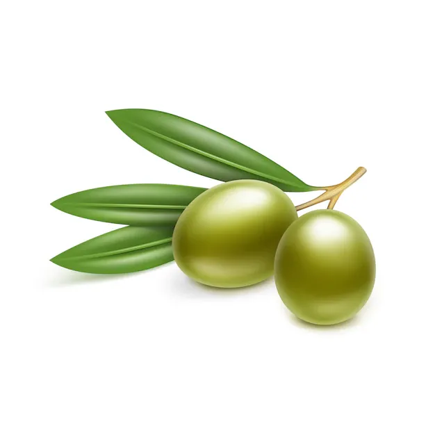 green-olives-branch-with-leaves-isolated-white-background_212889-1425.webp