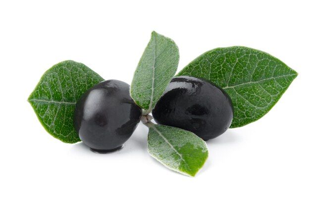 black-olives-with-leaves-isolated-white-background_93675-135220.jpg