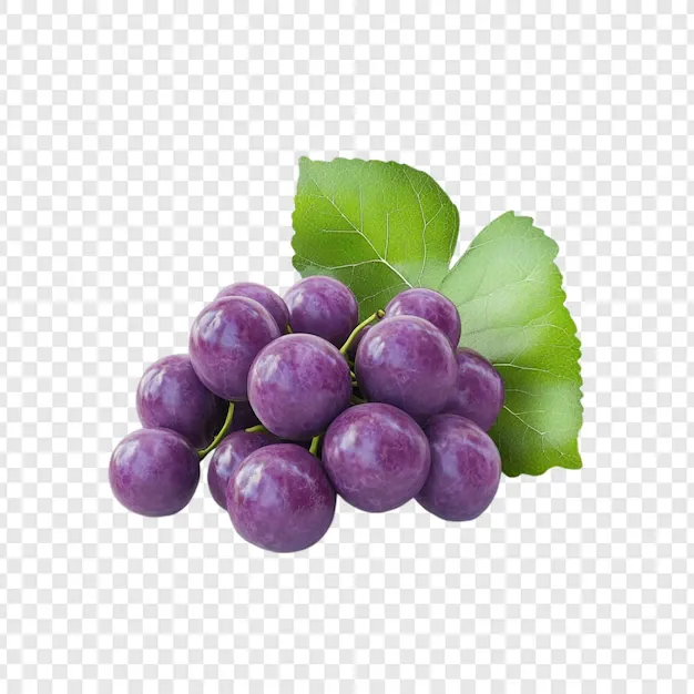 bunch-juicy-purple-grapes-with-green-leaves_191095-86133.webp