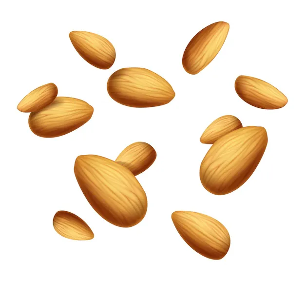 realistic-vector-icon-illustration-almond-nuts-banner-falling_134830-2257.webp