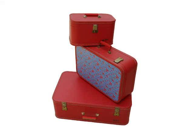 vintage-luggage-2698245_640.png