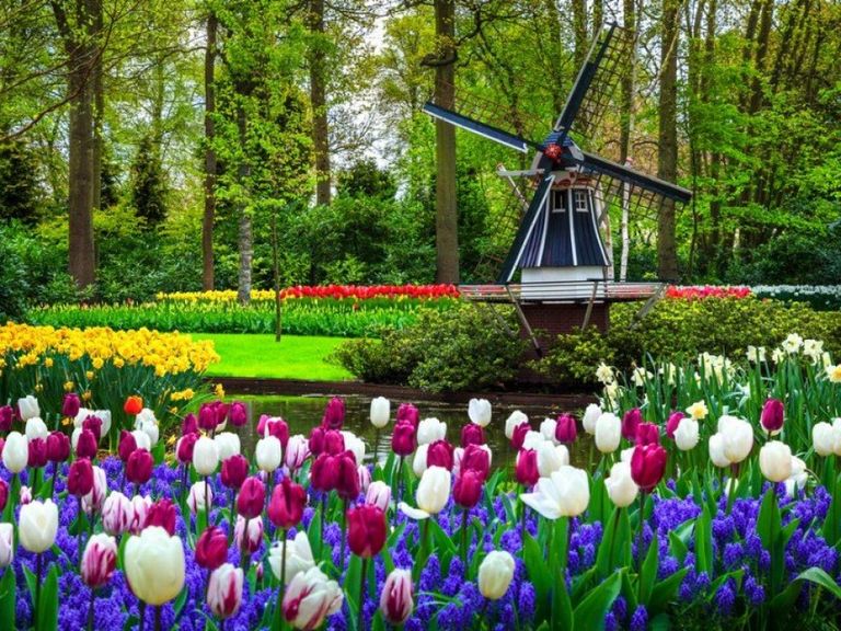 Keukenhof-garden-Lisse.jpg