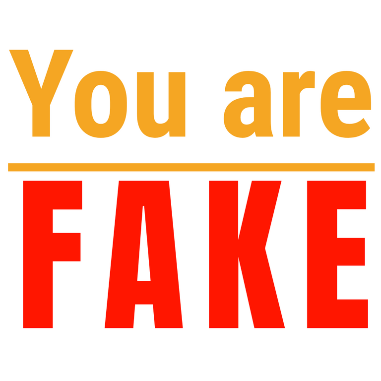 fake-you-are.png