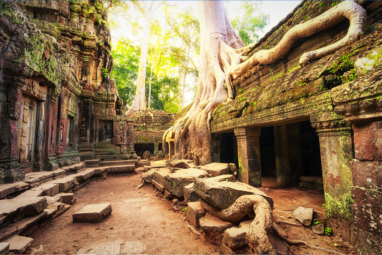 asia-cambodia-angkor-wat-temple-nature.png