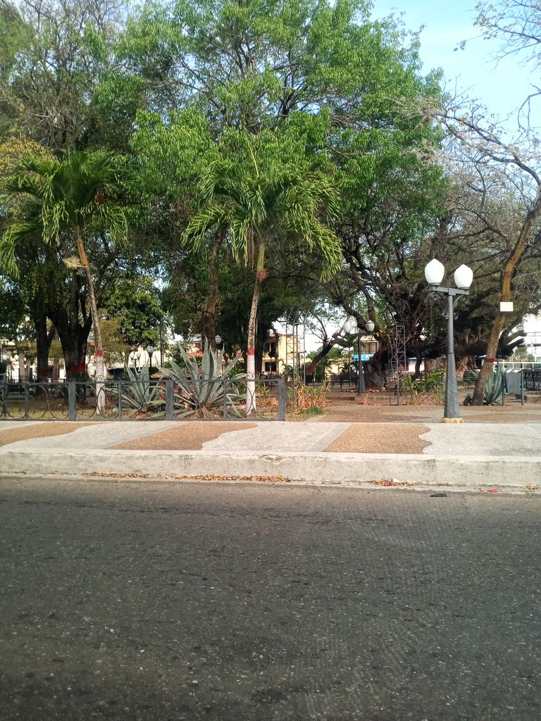 plaza de barrancas 1.jpg