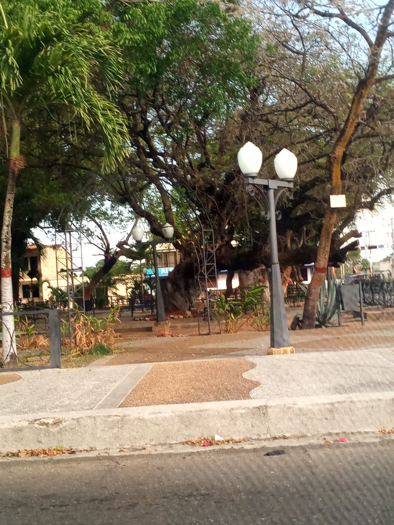 plaza de barrancas.jpg