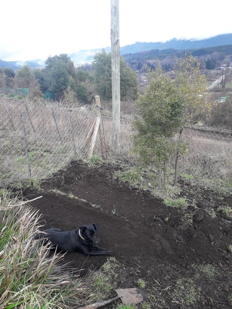 172.-terrazas-de-cultivos2.jpg