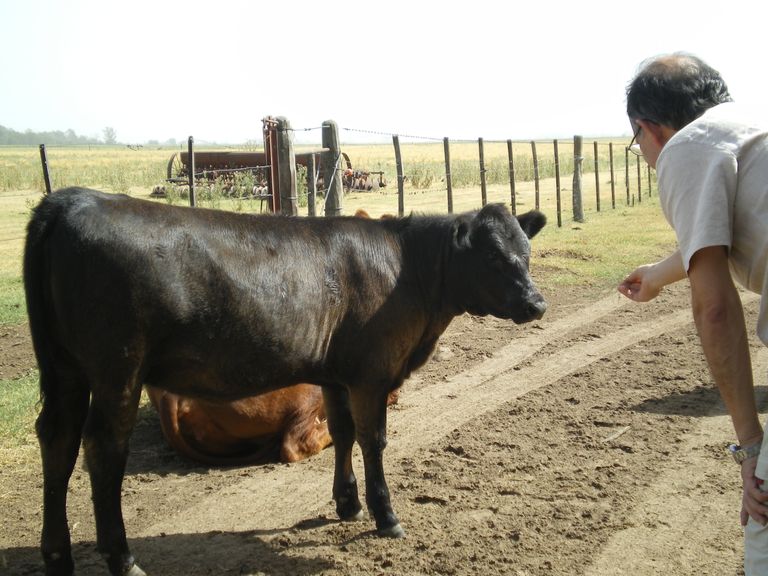 82.-Fin de semana en una factoría de la pampa argentina-7.JPG