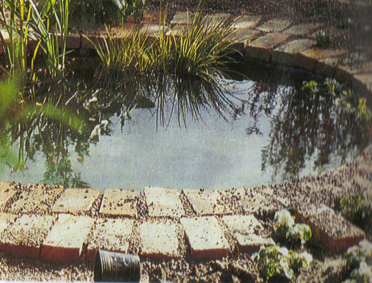 7.-guia-de-jardin-colocar-la-leca.png