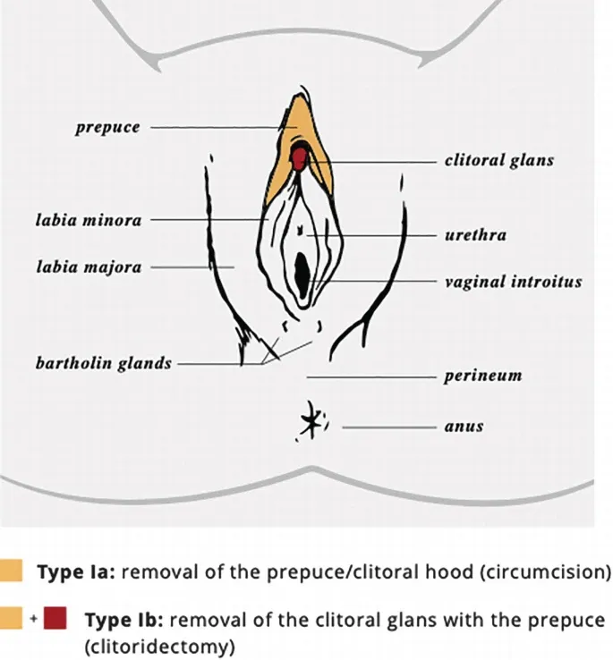 511147_1_En_5_Fig1_HTML.png