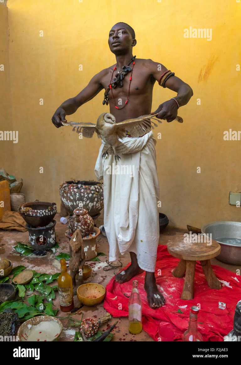 benin-west-africa-bonhicon-kagbanon-bebe-voodoo-priest-with-a-owl-F2JAE3.jpg