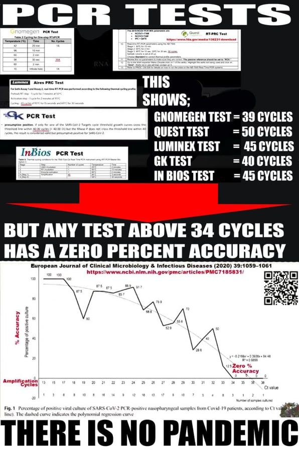 cycles expose scam in the numbers on rapid tests.jpg