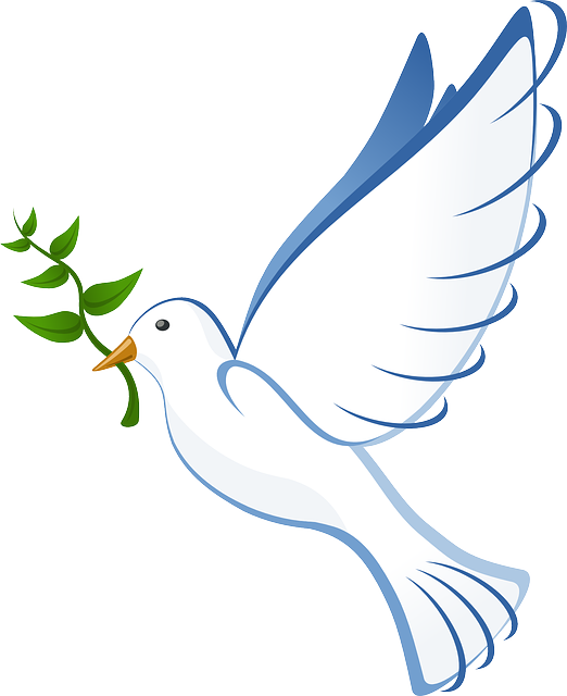 dove-41260_640.png