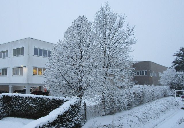 winterbeginn1.2021a.JPG