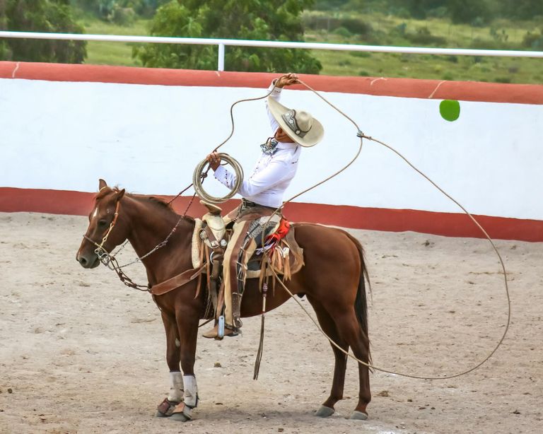 free-photo-of-a-man-on-a-horse-throwing-a-ball.jpeg