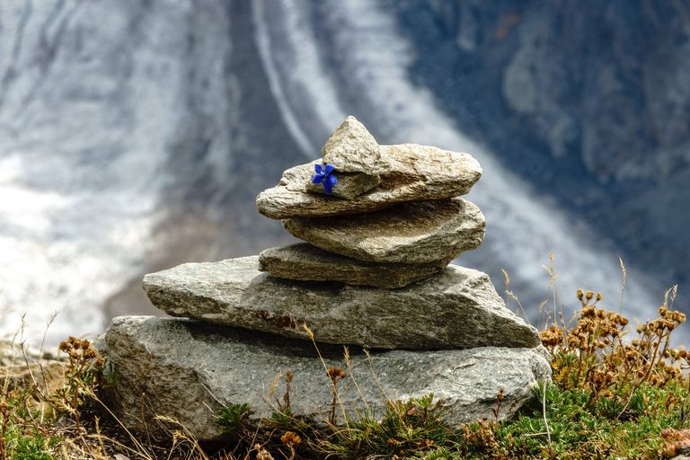 free-photo-of-balancing-stones-with-flower.jpeg