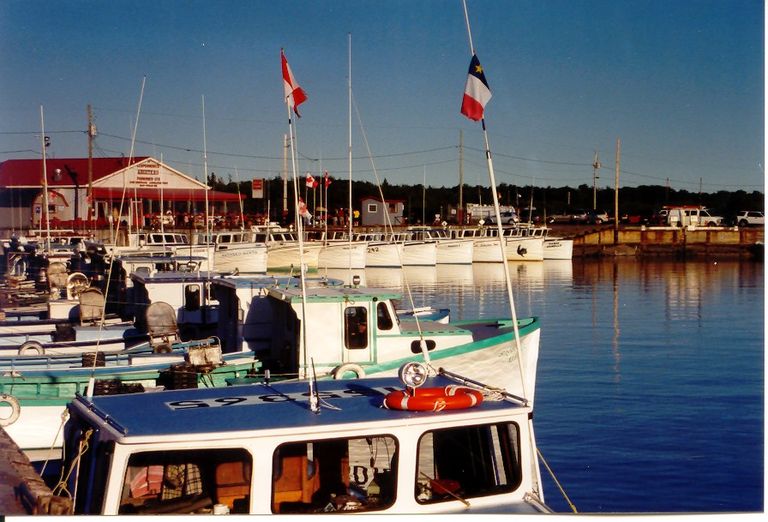 Wharf_Cape_Bald.JPG