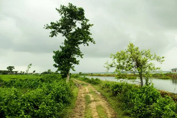 depositphotos_376953972-stock-photo-beautiful-picture-village-road.jpg