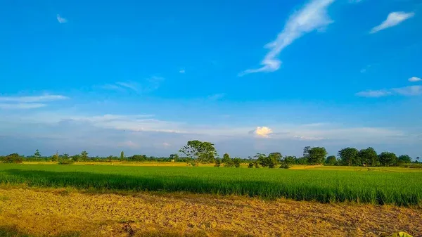 depositphotos_650659030-stock-photo-beautiful-landscape-field-green-grass.jpg