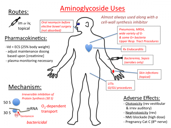 aminoglycosides2.png