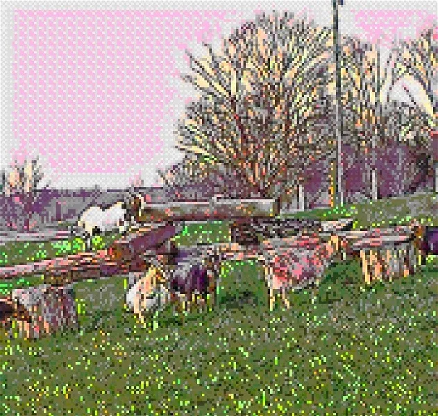 goats2.webp