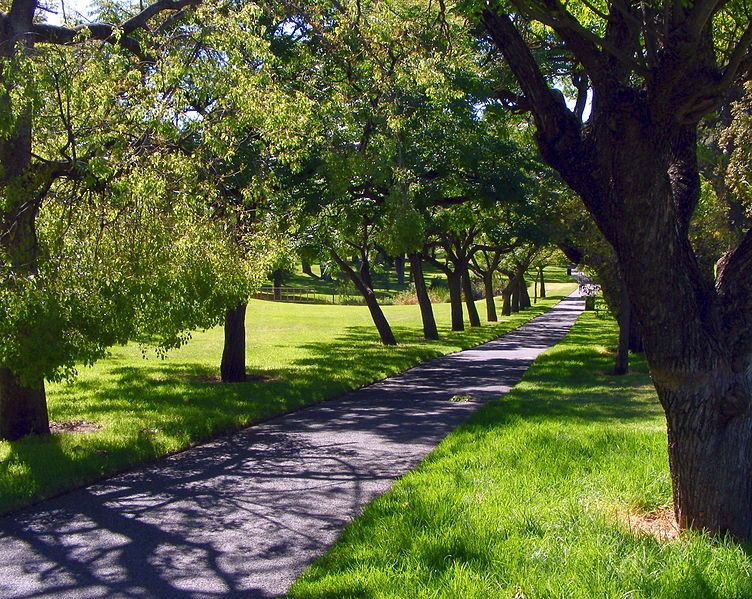 752px-Rymill_park_path.jpg