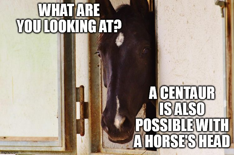 Meme horse centaur Blurt Meme Contest 1.jpg