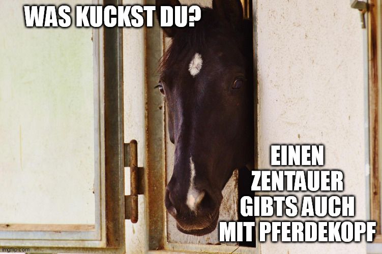 Meme Pferd Zentauer Blurt Meme Contest 1.jpg