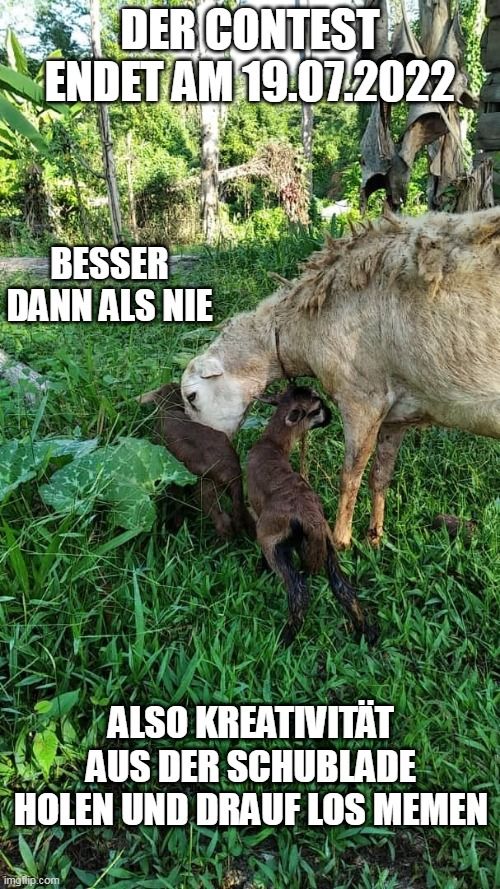 Meme GmbH Contest IX Dschungel 2 (LIL).jpg