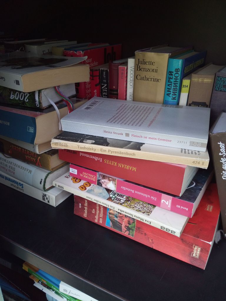 Bücherschrank.jpg