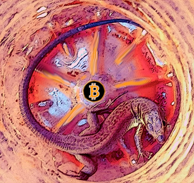 Lizardbtc.png