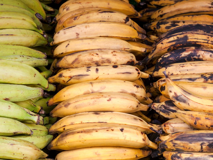 benefits-of-plantains-732x549-thumbnail.jpg