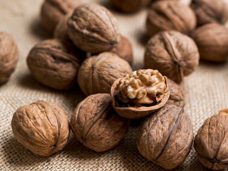 group-nuts-brown-background_23-2148211119.jpg