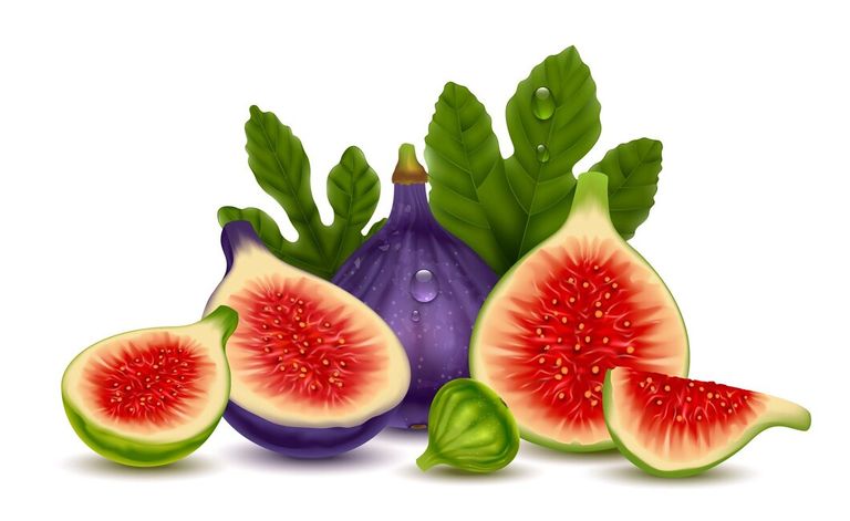 figs-realistic-composition-consisting-whole-cut-fresh-ripe-fruits-white-background-vector-illustration_1284-79291.jpg