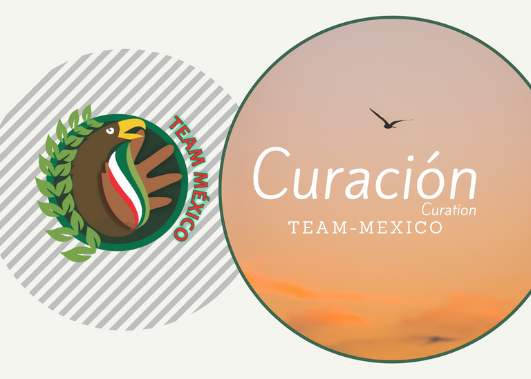 Team-mexico (3).png