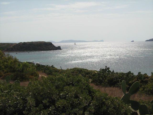 307.-Sardegna 014.jpg