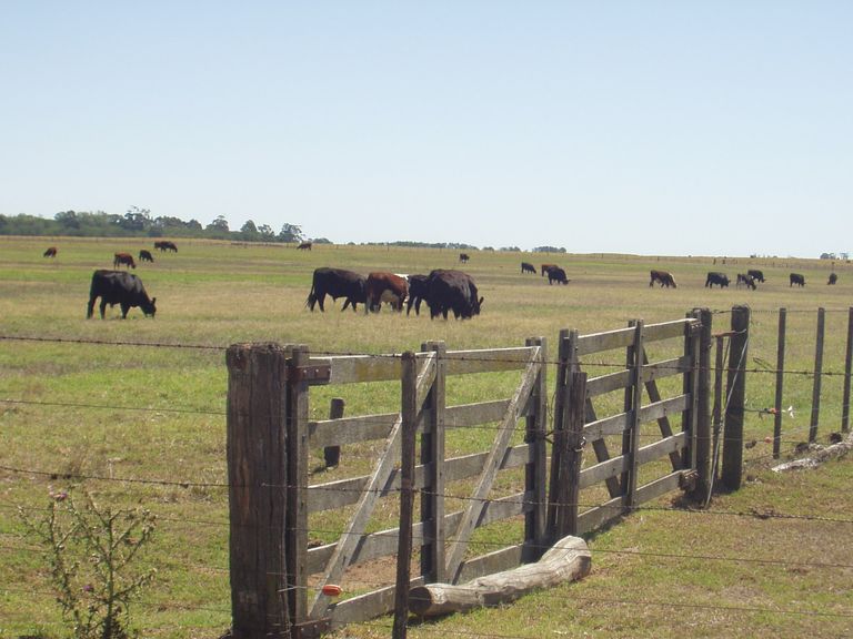 310.-Argentina 2007 090.jpg