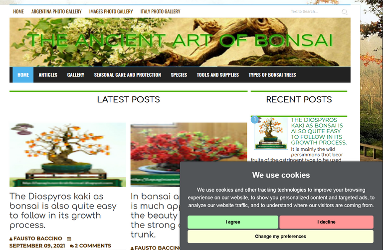 233.-La-privacy-en-el-mundo-blog-hobby-bonsai.png