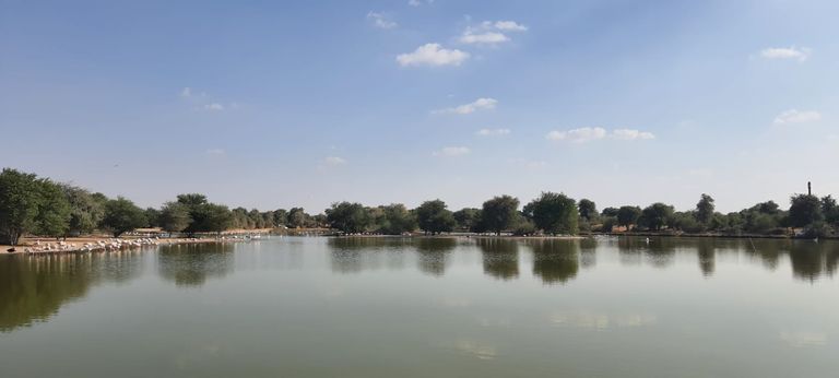 Flamingo Lake2.jpg