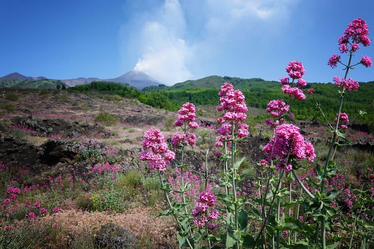 Etna3.jpg