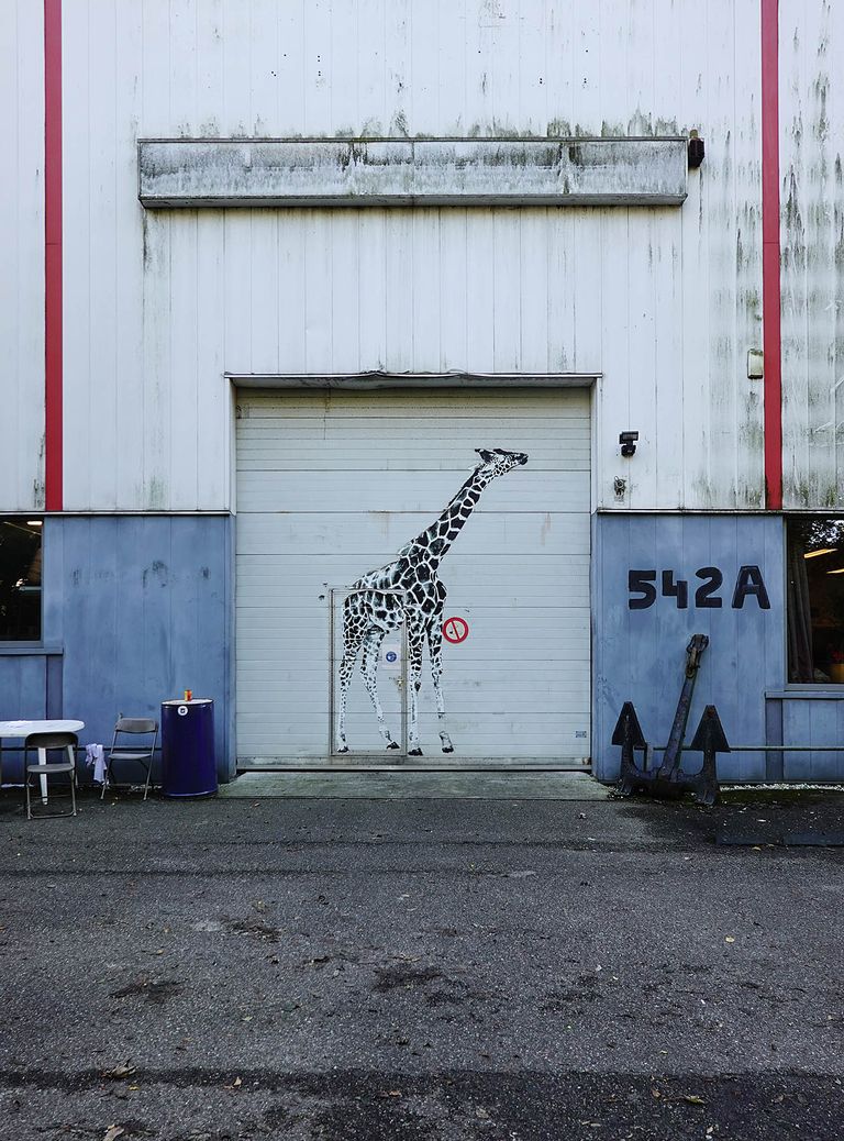 Giraffe1.jpg