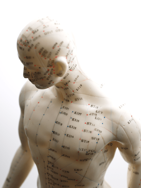 Male-acupuncture-model-front-upper-body.png