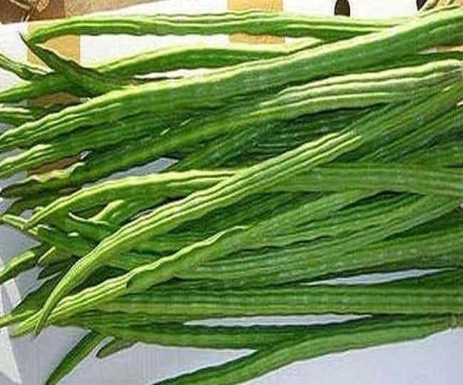 18_03_2021-drumstick-botanical_name_moringa_oleifera_21474314.jpg